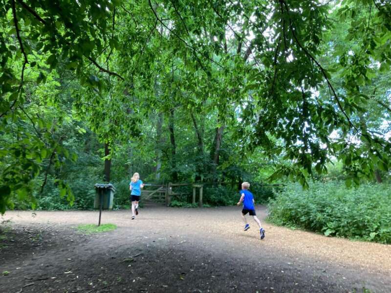 Good going in the country park